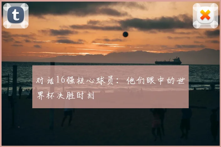 对话16强核心球员:他们眼中的世界杯决胜时刻