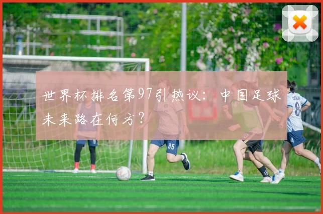 世界杯排名第97引热议：中国足球未来路在何方？