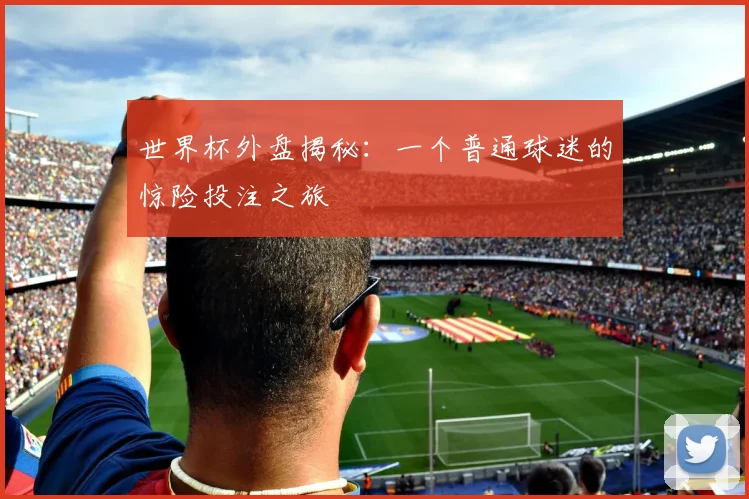 世界杯外盘揭秘：一个普通球迷的惊险投注之旅