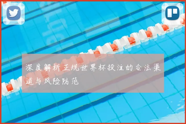 深度解析正规世界杯投注的合法渠道与风险防范