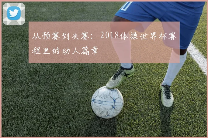 从预赛到决赛：2018体操世界杯赛程里的动人篇章