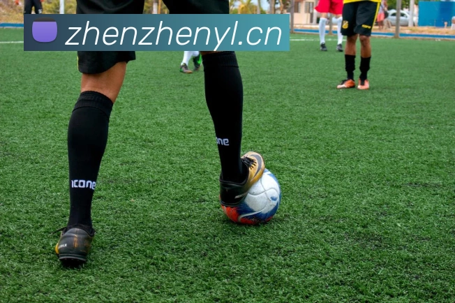 多媒体互动体验